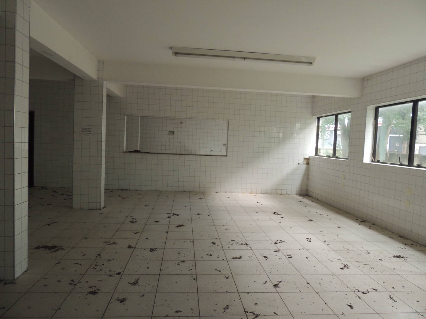 Prédio Inteiro, 4400 m² - Foto 10