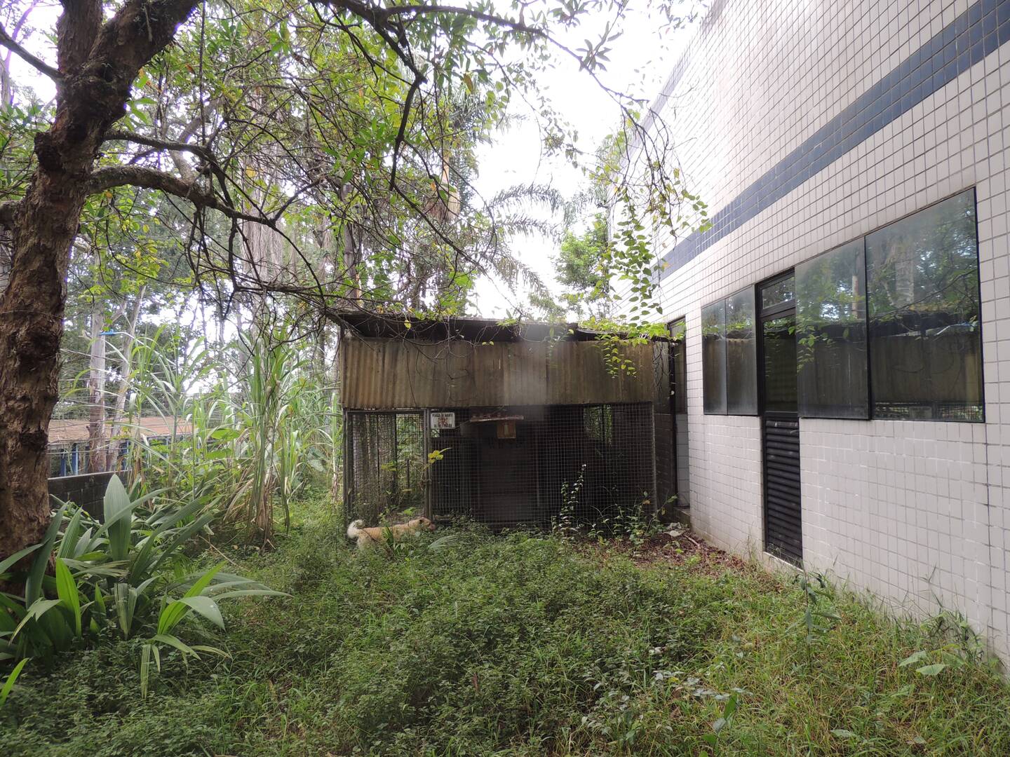 Prédio Inteiro, 4400 m² - Foto 19
